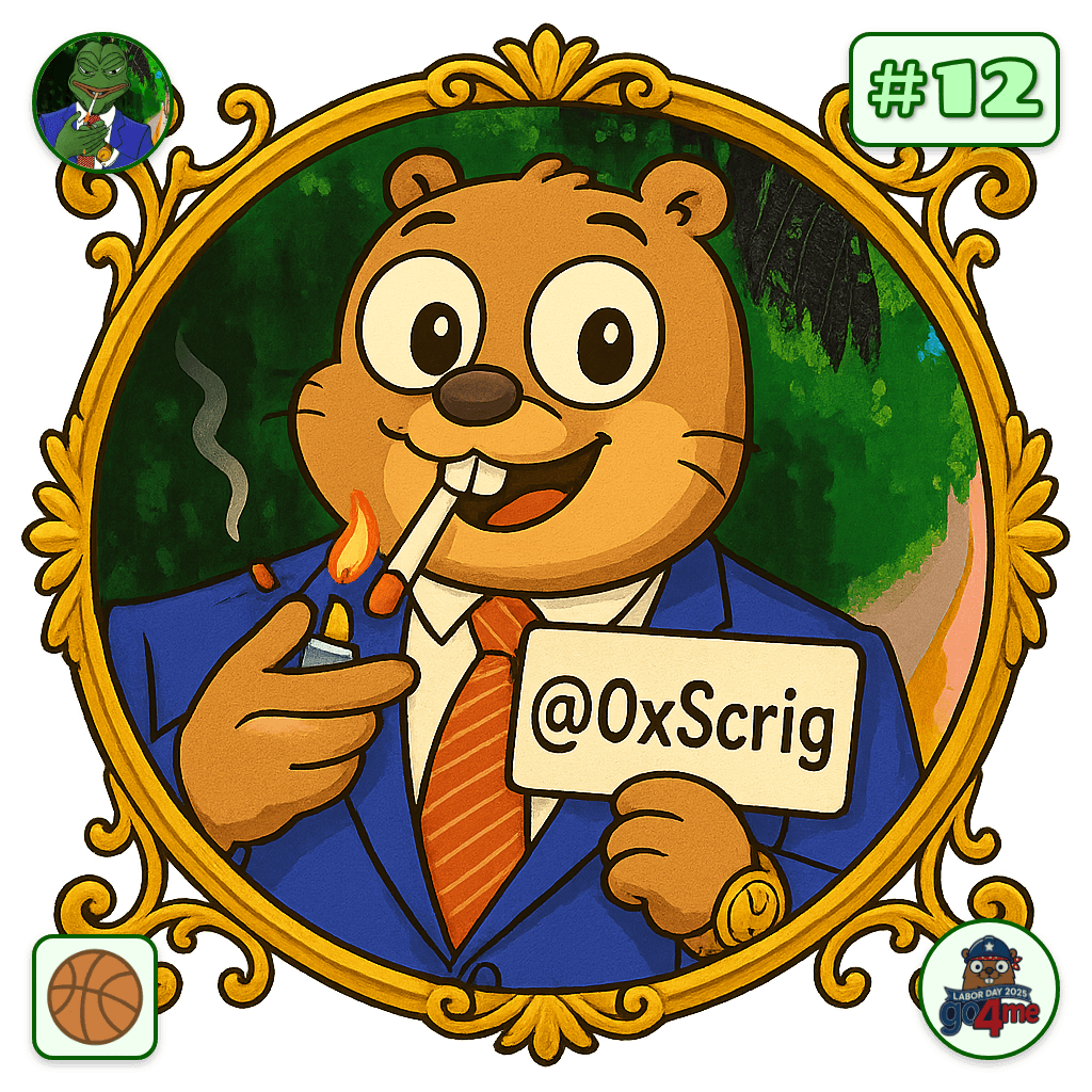 0xScrig avatar